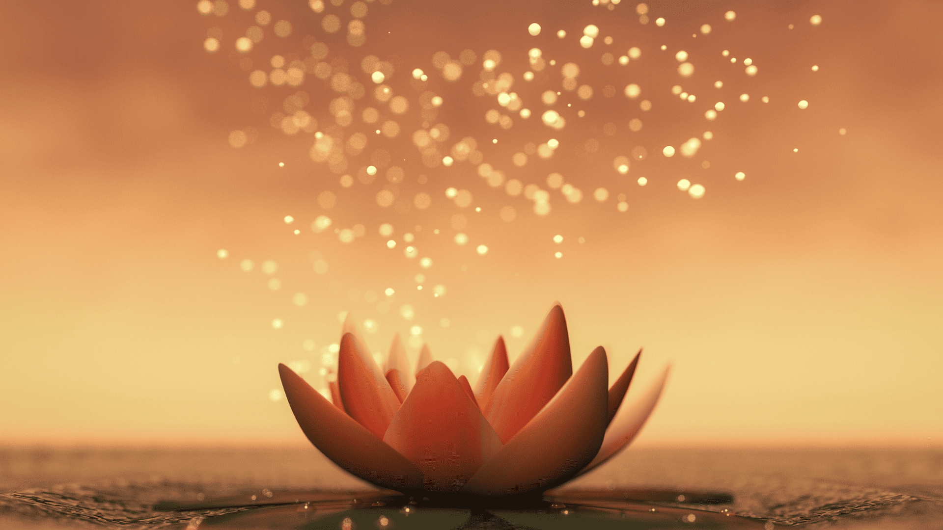 lotus étincelant sur fond de orangé